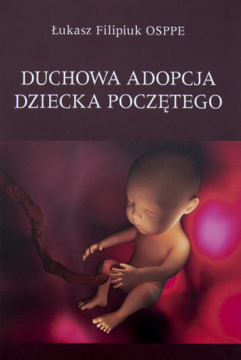 Książka jest do nabycia m.in. w księgarni diecezjalnej, a także na stronie www.wejdzmynaszczyt.pl