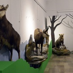 Dwie nowe wystawy w radomskim muzeum