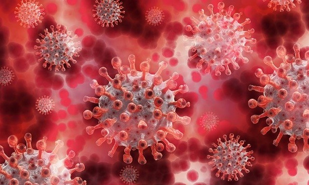 Jak infekcja Covid-19 zmienia długotrwale komórki krwi