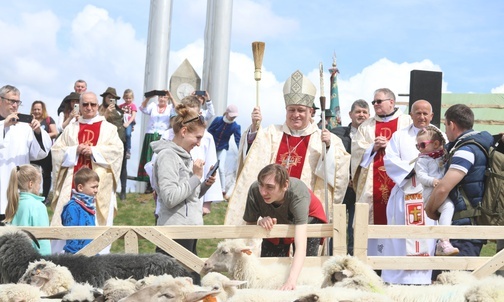 Bp Piotr Greger pobłogosławił stado owiec.