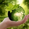 Insua: światu potrzebne jest ekologiczne nawrócenie