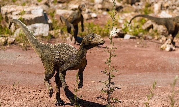 Wymieraniu dinozaurów towarzyszyło wymieranie ssaków