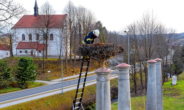 Strażak ochotnik poprawia bocianie gniazdo w Tyrawie Wołoskiej  (woj. podkarpackie).