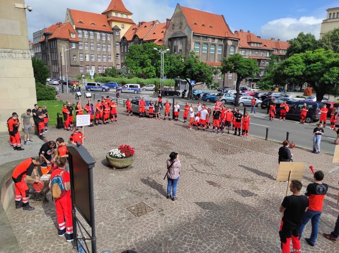 Katowice. Przed Śląskim Urzędem Wojewódzkim protestowali ratownicy medyczni