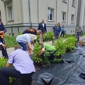 Katowice. Rozpoczęła się akcja pod hasłem "Zielone? Nie parkuję"