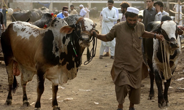 Pakistan: nadużycia w stosowaniu prawa o bluźnierstwie