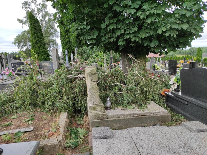 Powalone drzewa na cmentarzu w Lubochni.
