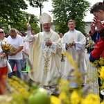 Diecezjalne dożynki w Rokitnie