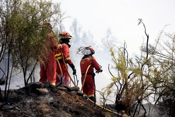 Hiszpania: Ponad 1000 osób ewakuowanych, pożar strawił 10 tys. ha lasów
