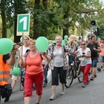 Strumień opolski w Kamieniu Śląskim