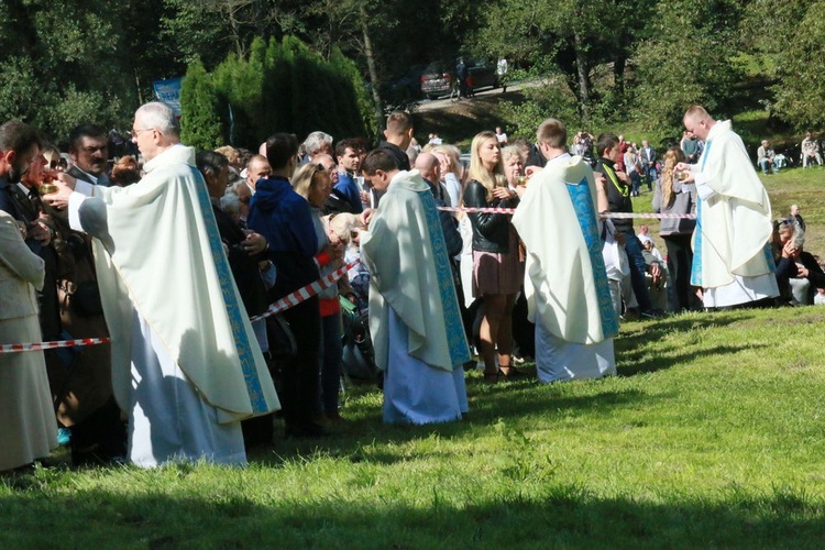 Uroczystości w Wąwolnicy