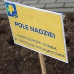 Oficjalna inauguracja akcji Pola Nadziei w Gorzowie Wlkp.