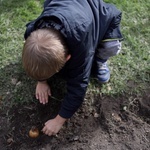 Kampania Pola Nadziei w Świdnicy