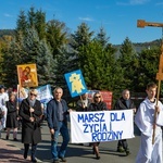 Marsz dla Życia i Rodziny w Krynicy-Zdroju