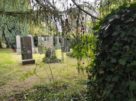 Bielsko-Biała. Na terenie cmentarza żydowskiego powstaje "Tajemniczy ogród"