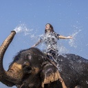 Kąpiel ze słoniem