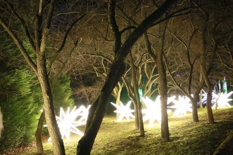 Park iluminacji