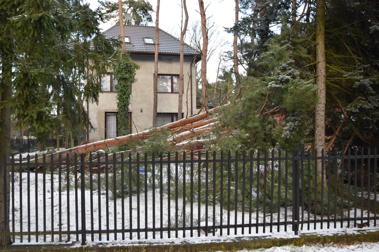 Niszczycielska burza śnieżna 