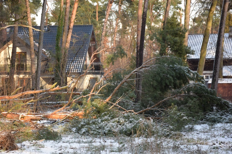 Nawałnica w Międzyborowie