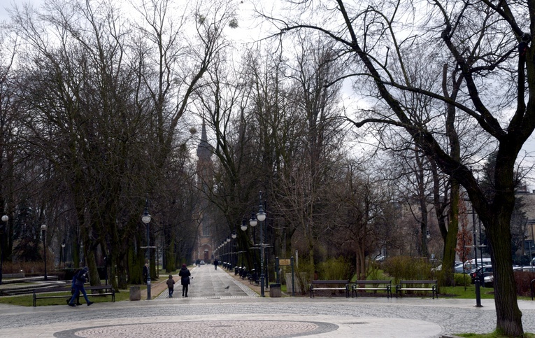 Nabór wniosków trwa do 28 lutego br. Na zdjęciu park Tadeusza Kościuszki w Radomiu.