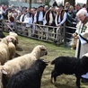 Ludźmierz. Święto Bacowskie, czyli żywa owieczka w kościele 
