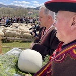 Beskidzka inauguracja sezonu pasterskiego w Rychwałdzie