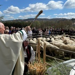 Beskidzka inauguracja sezonu pasterskiego w Rychwałdzie