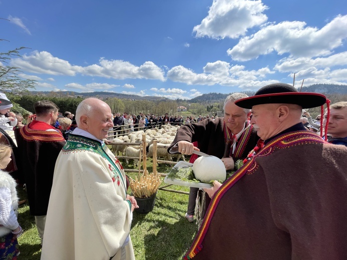 Beskidzka inauguracja sezonu pasterskiego w Rychwałdzie