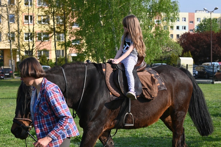 Świdnica. Festyn u Królowej Polski 