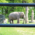 Spacer po krakowskim ZOO 