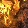 Miasteczko Śląskie. Strażacy opanowali 50-hektarowy pożar