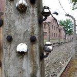 Auschwitz nieznane