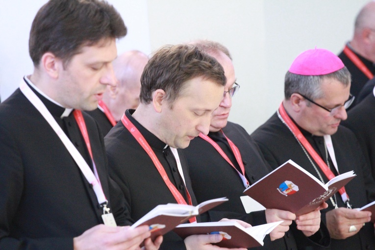 VI sesja plenarna synodu