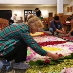 Kwiatowy dywan w Koszycach Małych