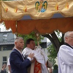 Procesja eucharystyczna z wrocławskiego Kozanowa na Pilczyce z kwietnymi dywanami