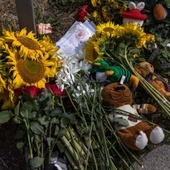 Oprócz 4-letniej Lizy w ataku na Winnicę zginęło dwóch chłopców w wieku siedmiu i ośmiu lat