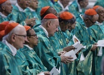 Papież przestrzegł kardynałów przed myśleniem, że Kościół jest wielki, a oni na wybitnych stopniach hierarchii