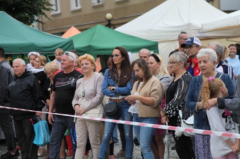 Miodobranie w Bolkowie i Dzierżoniowie