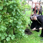 Święto Maternusa w Lubomierza