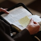 Prawda czy fałsz? 20 pytań z wiedzy o Biblii