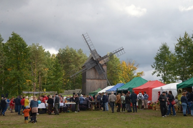 Festiwal Ziemniaka w Muzeum Wsi Radomskiej