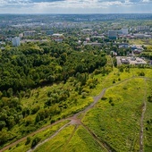 Katowice. Miasto stawia na zieleń - powstaną nowe parki