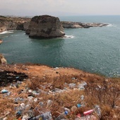 Wieloryby pochłaniają codziennie miliony cząstek mikroplastiku