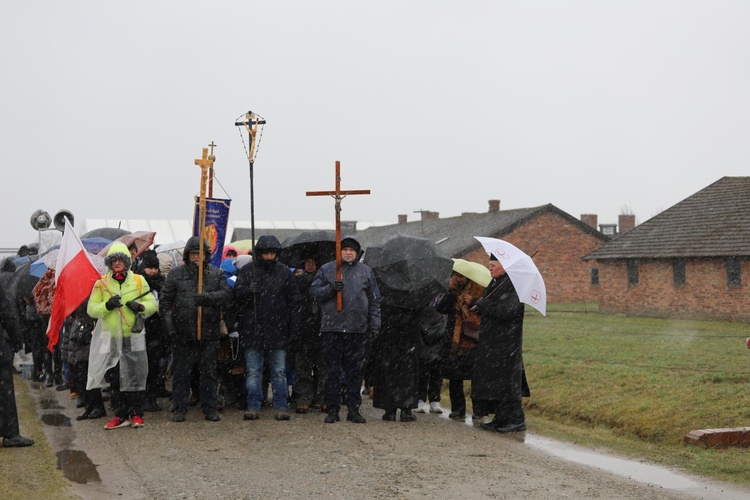 Droga Krzyżowa w intencji trzeźwości narodu w byłym KL Auschwitz-Birkenau - 2023