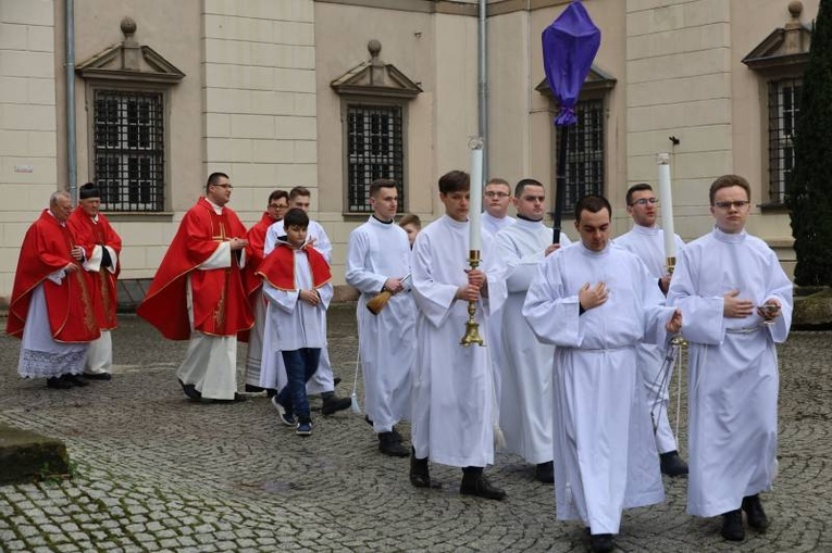 Niedziela Palmowa w świdnickiej katedrze