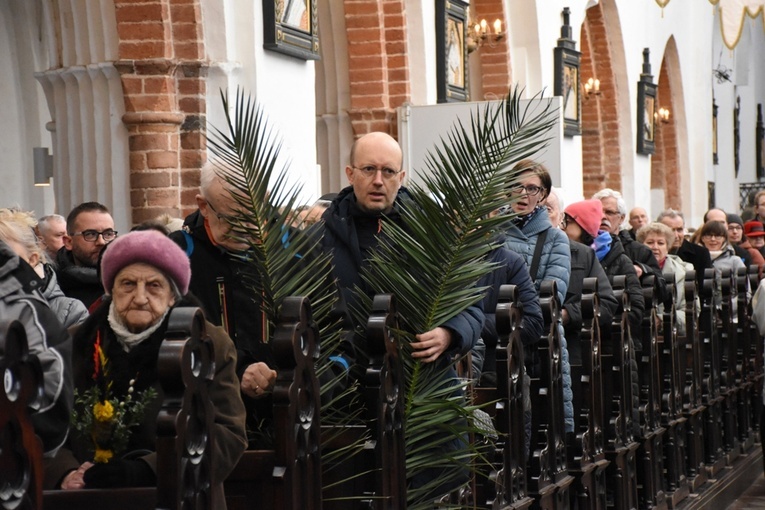 Niedziela Palmowa w archikatedrze oliwskiej 2023