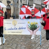 Żółty marsz żonkili z Pola Nadziei przeszedł przez Świdnicę