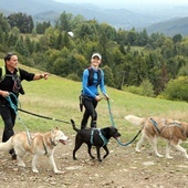 Lubliniec. Inauguracja zawodów Pucharu Polski w Dogtrekkingu