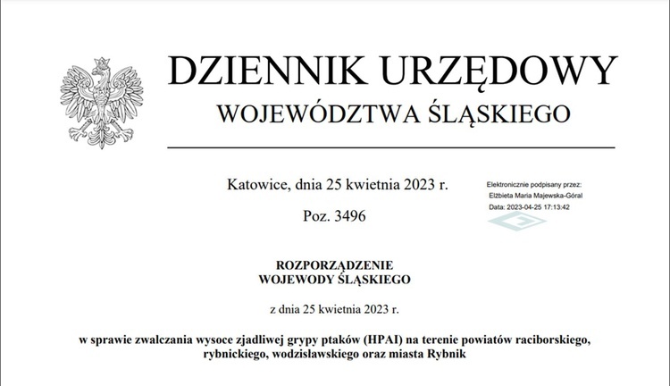 Śląskie. Powiaty raciborski, rybnicki i wodzisławski obszarami zagrożonymi wysoce zjadliwą grypą ptaków