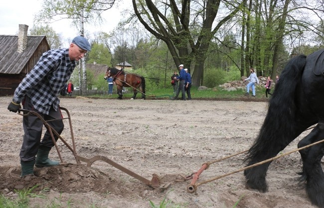 Majowy piknik w radomskim skansenie